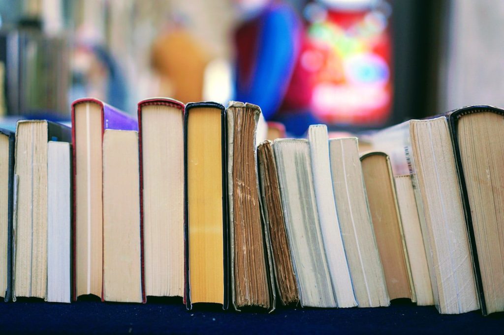 DDUGU BEd Syllabus