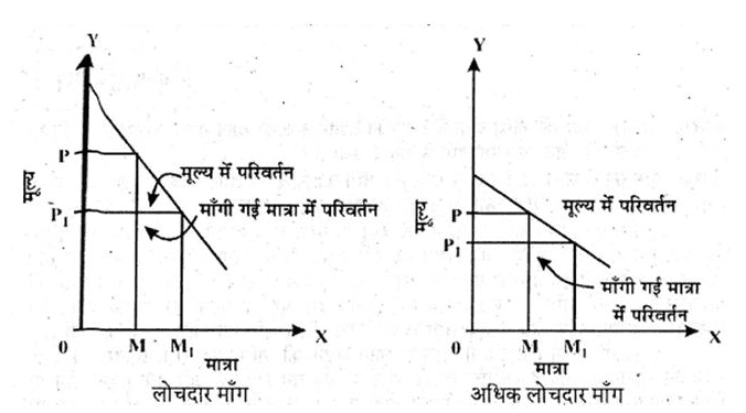 मांग की लोच क्या है? 13 मांग की लोच के निर्धारक&nbsp;तत्व