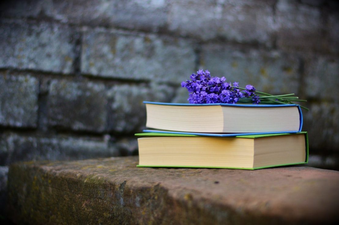 CSJMU BEd Semester II&nbsp;Syllabus