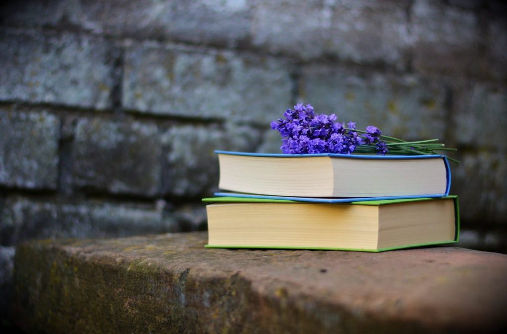 CSJMU BEd Semester Syllabus