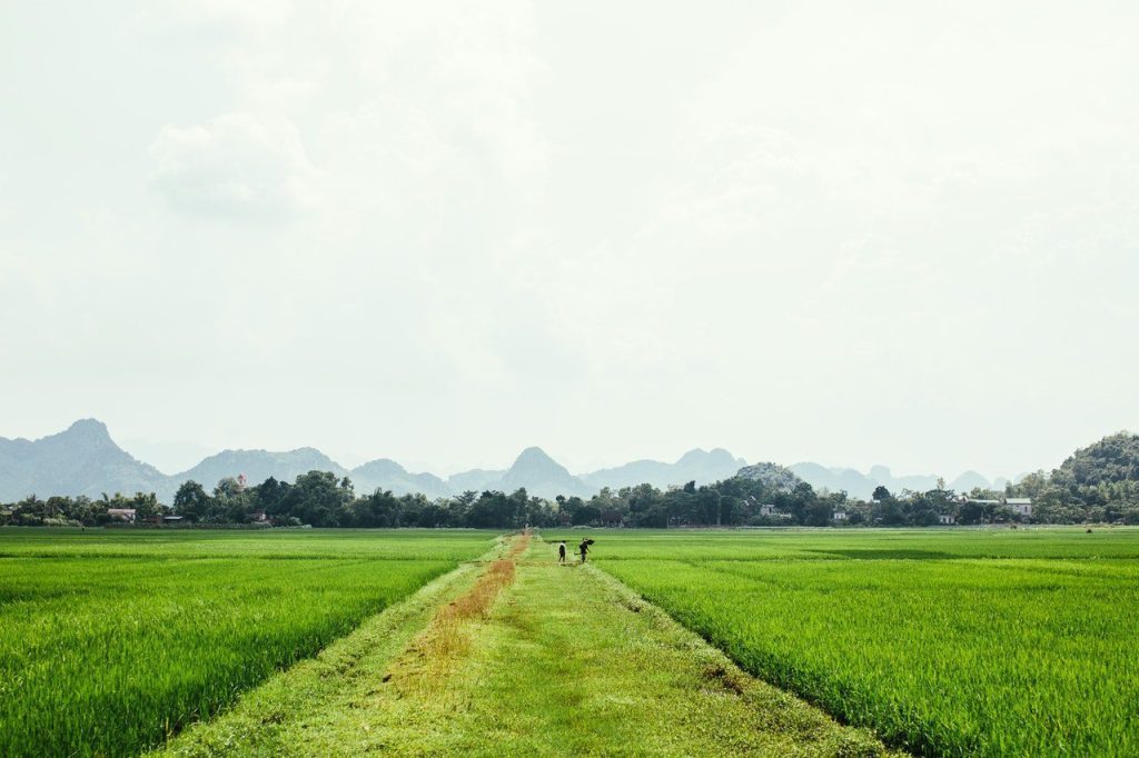 जापान कृषि विशेषताएं
