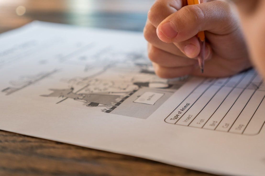 परीक्षा सुधार आवश्यकता (6 Important Exam Improvement Needs)