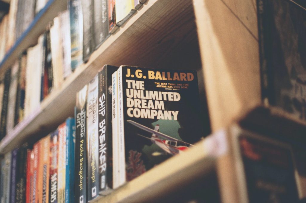 DBRAU BEd Syllabus
